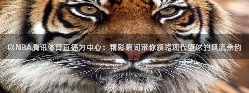 搜球体育官网：以NBA腾讯体育直播为中心：精彩瞬间带你领略现代篮球的风流余韵