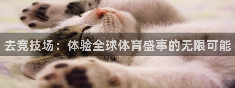 搜球8直播：去竞技场：体验全球体育盛事的无限可能