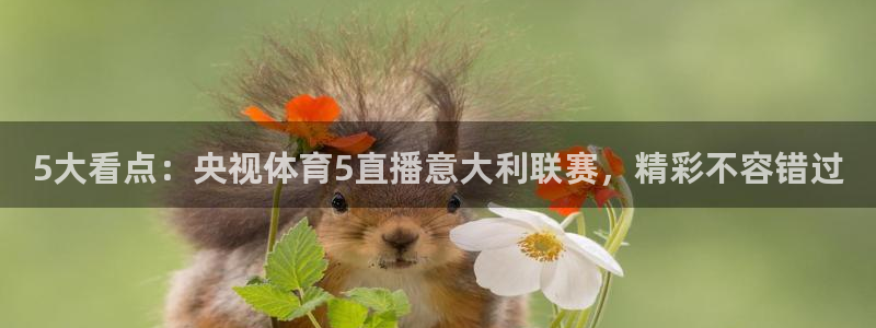 搜球吧在线直播免费观看：5大看点：央视体育5直播意大利联赛，精彩不容错过