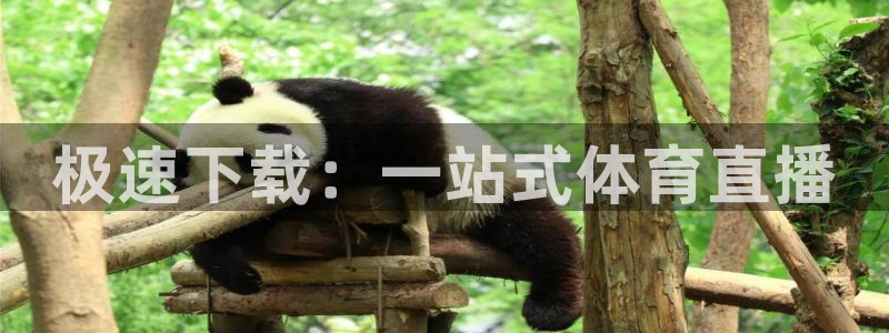 搜球直播：极速下载：一站式体育直播