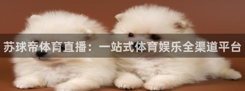 nba直播搜球吧：苏球帝体育直播：一站式体育娱乐全渠道平台
