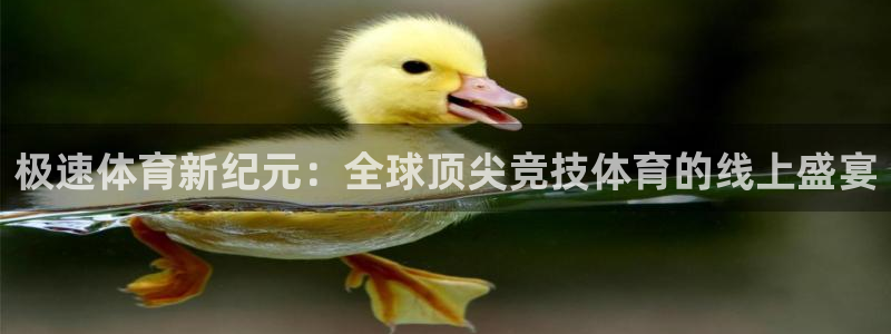 搜球体育官网：极速体育新纪元：全球顶尖竞技体育的线上盛宴