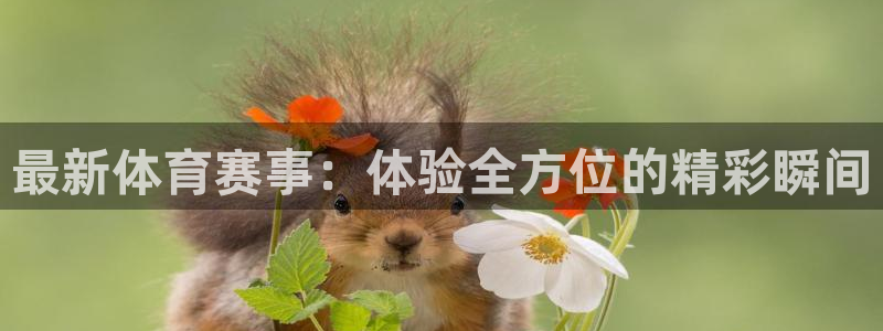 搜球体育下载：最新体育赛事：体验全方位的精彩瞬间