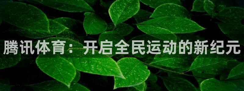 nba搜球吧直播